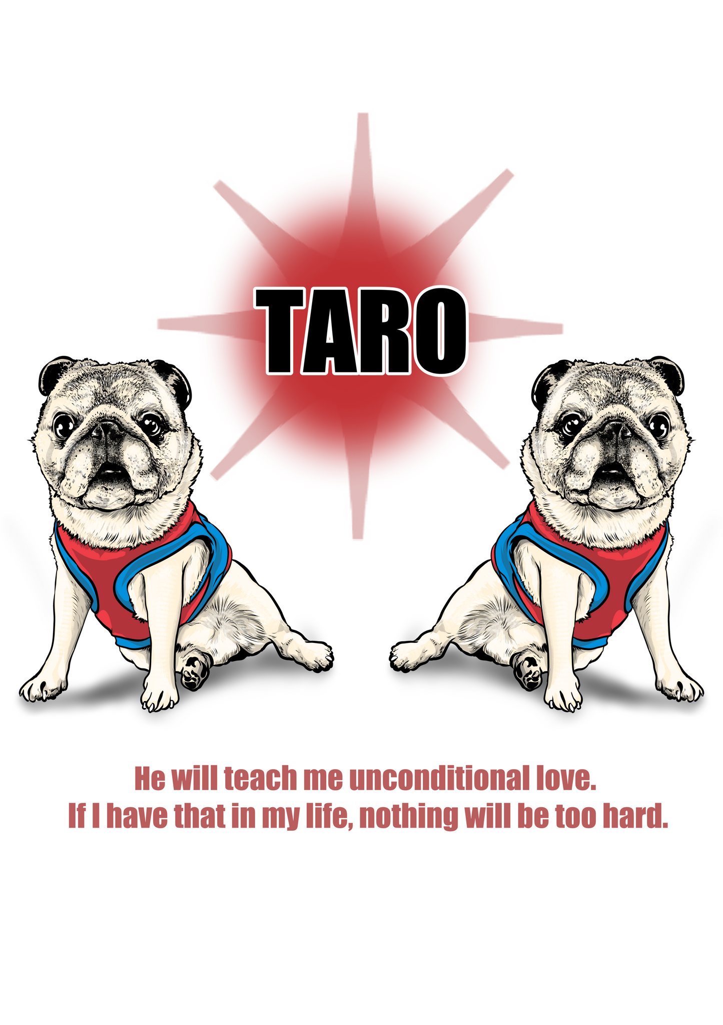 ●愛犬 TARO様 【Custom design】
